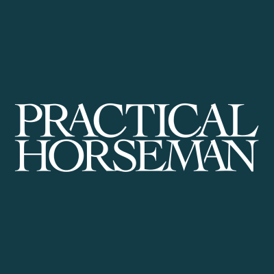 Practical Horseman